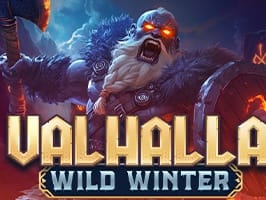 Valhalla Wild Winter